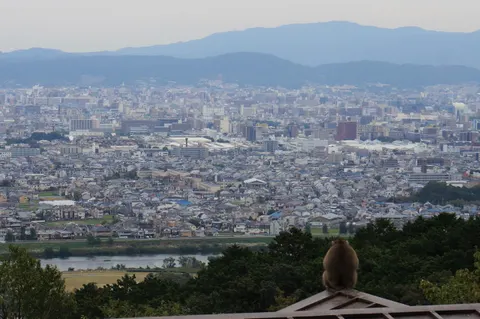 Japan, Kyoto, 2019