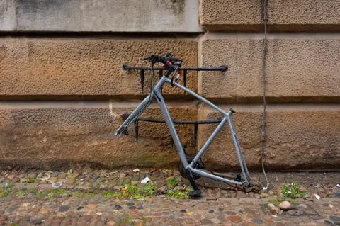 United Kingdom, Cambridge, 2026