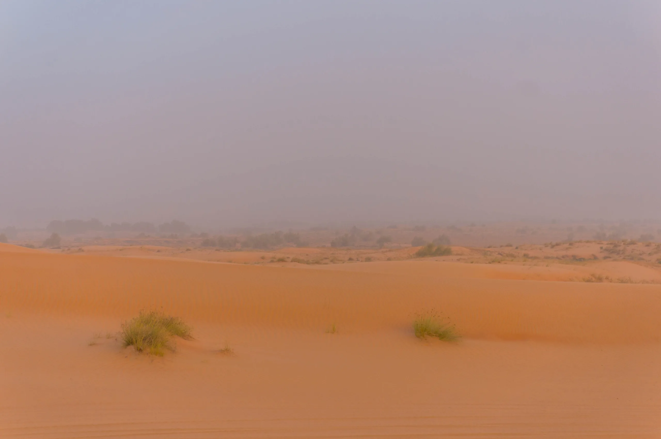 United Arab Emirates, Dubai, 2024