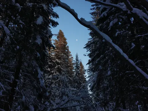 Russia, Komarovo, 2021