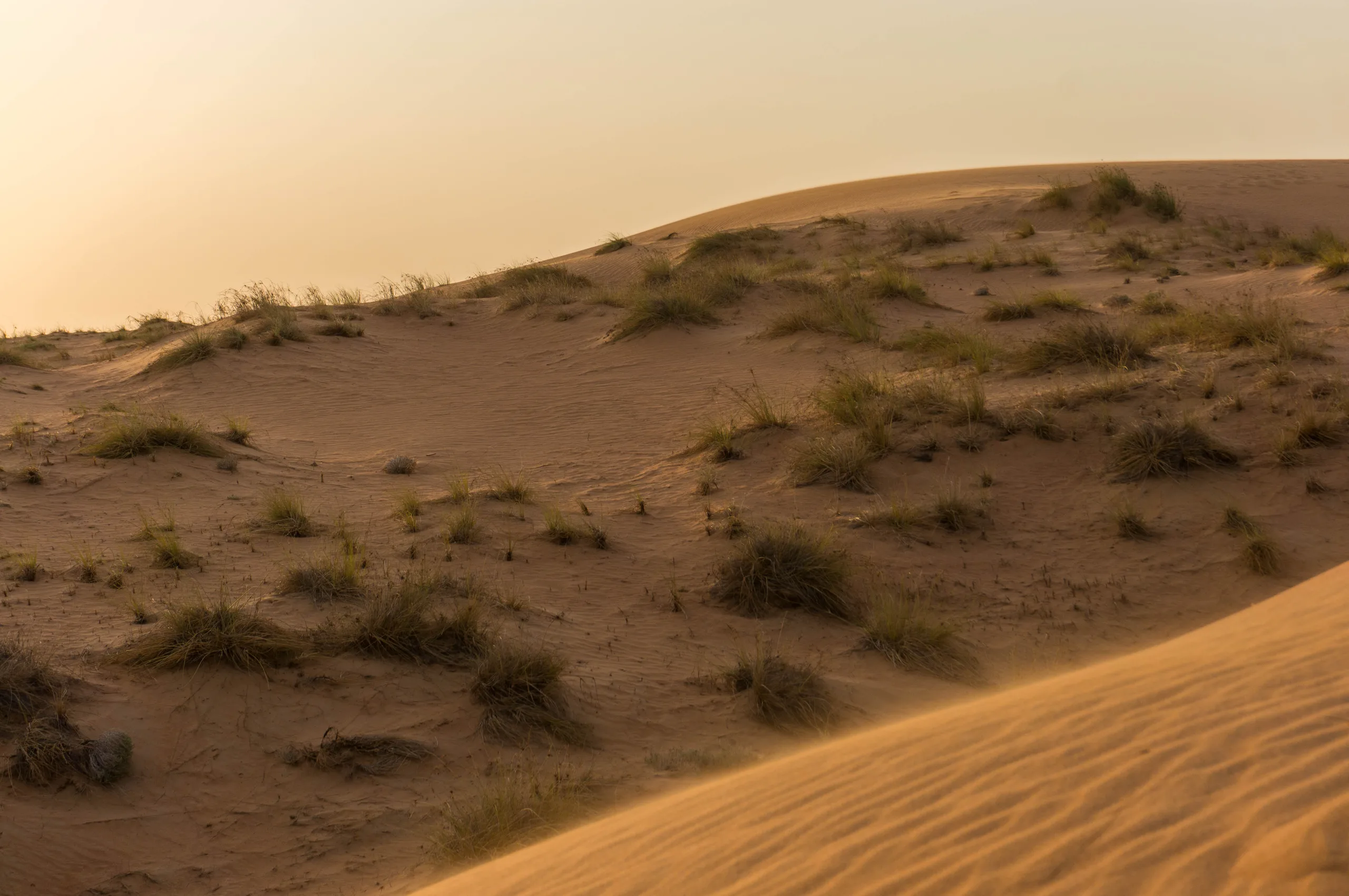 United Arab Emirates, Dubai, 2024