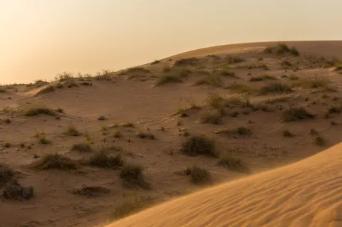 United Arab Emirates, Dubai, 2024