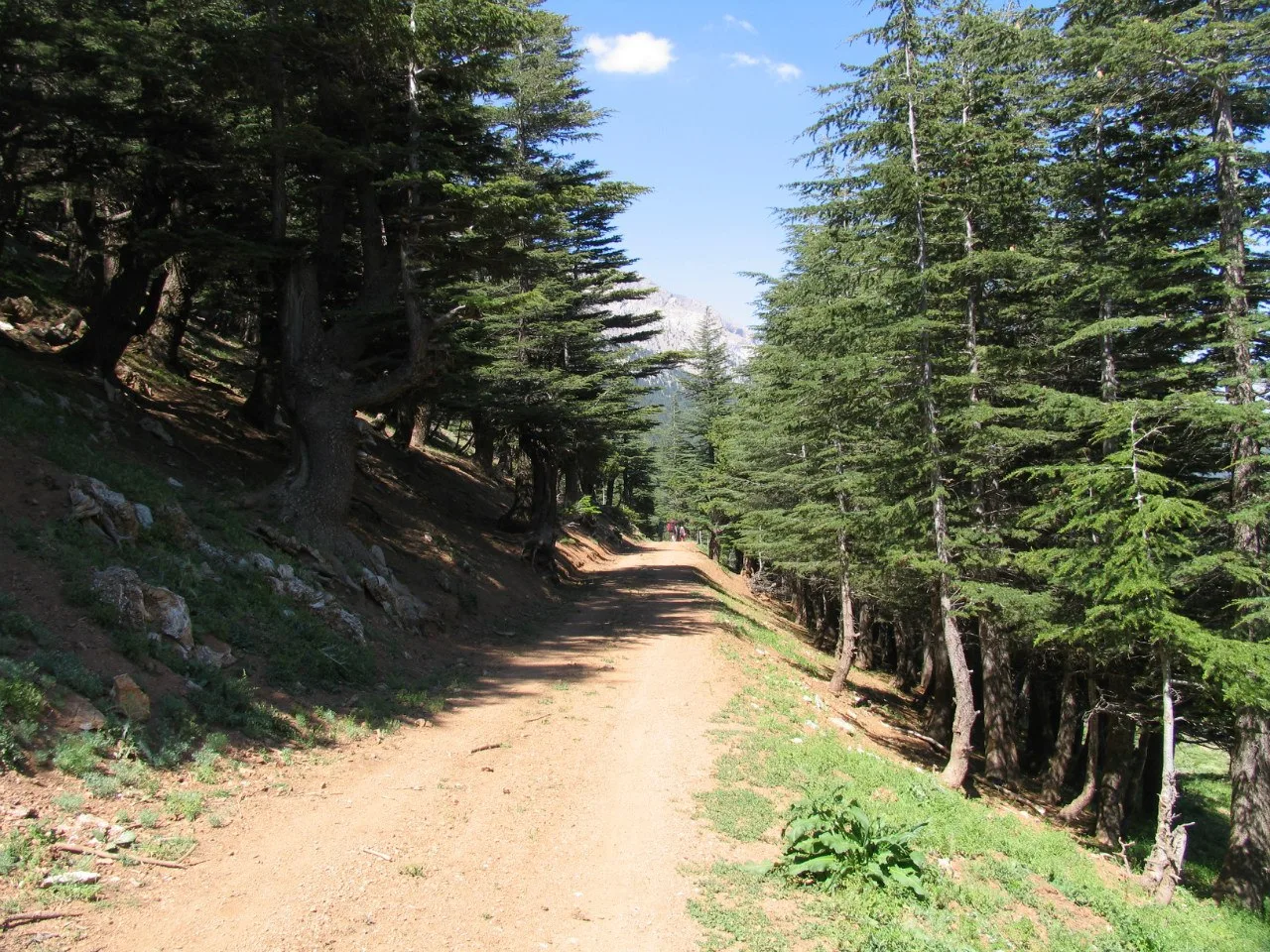 Turkey, Aladaglar, 2006