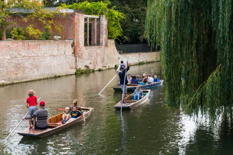United Kingdom, Cambridge, 2026