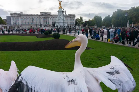 United Kingdom, London, 2022