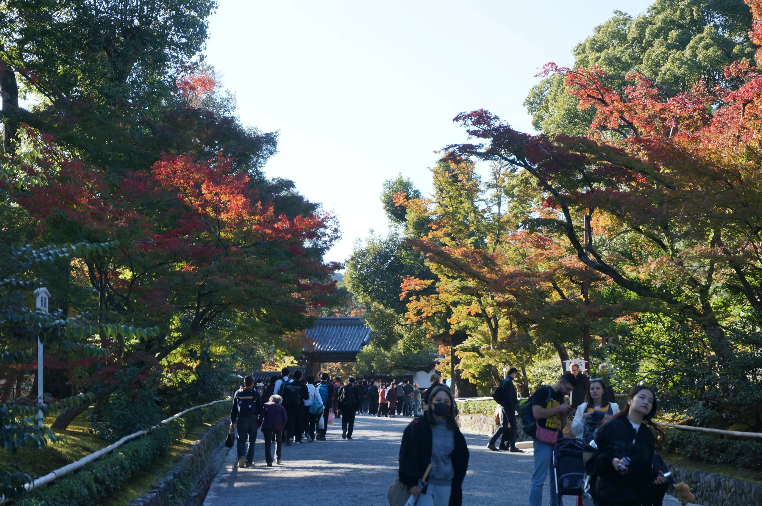 Japan, Kyoto, 2019
