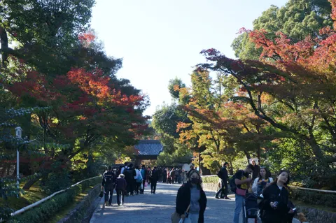 Japan, Kyoto, 2019