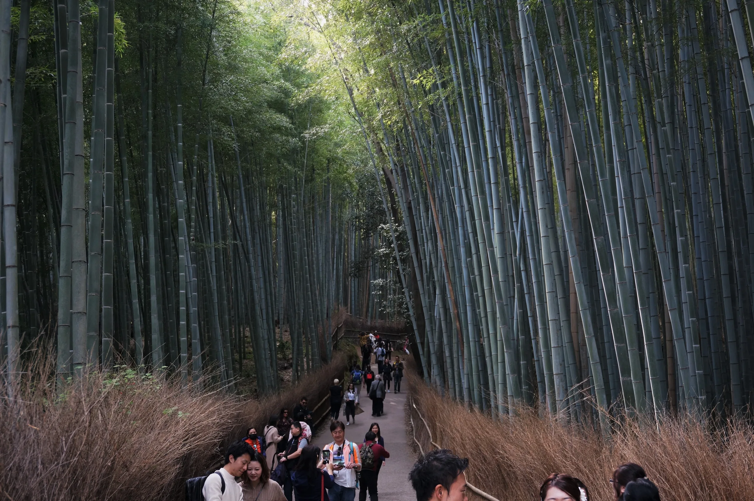 Japan, Kyoto, 2019