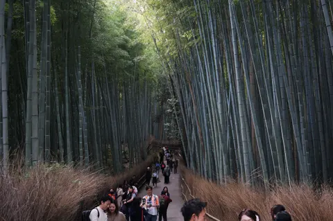 Japan, Kyoto, 2019