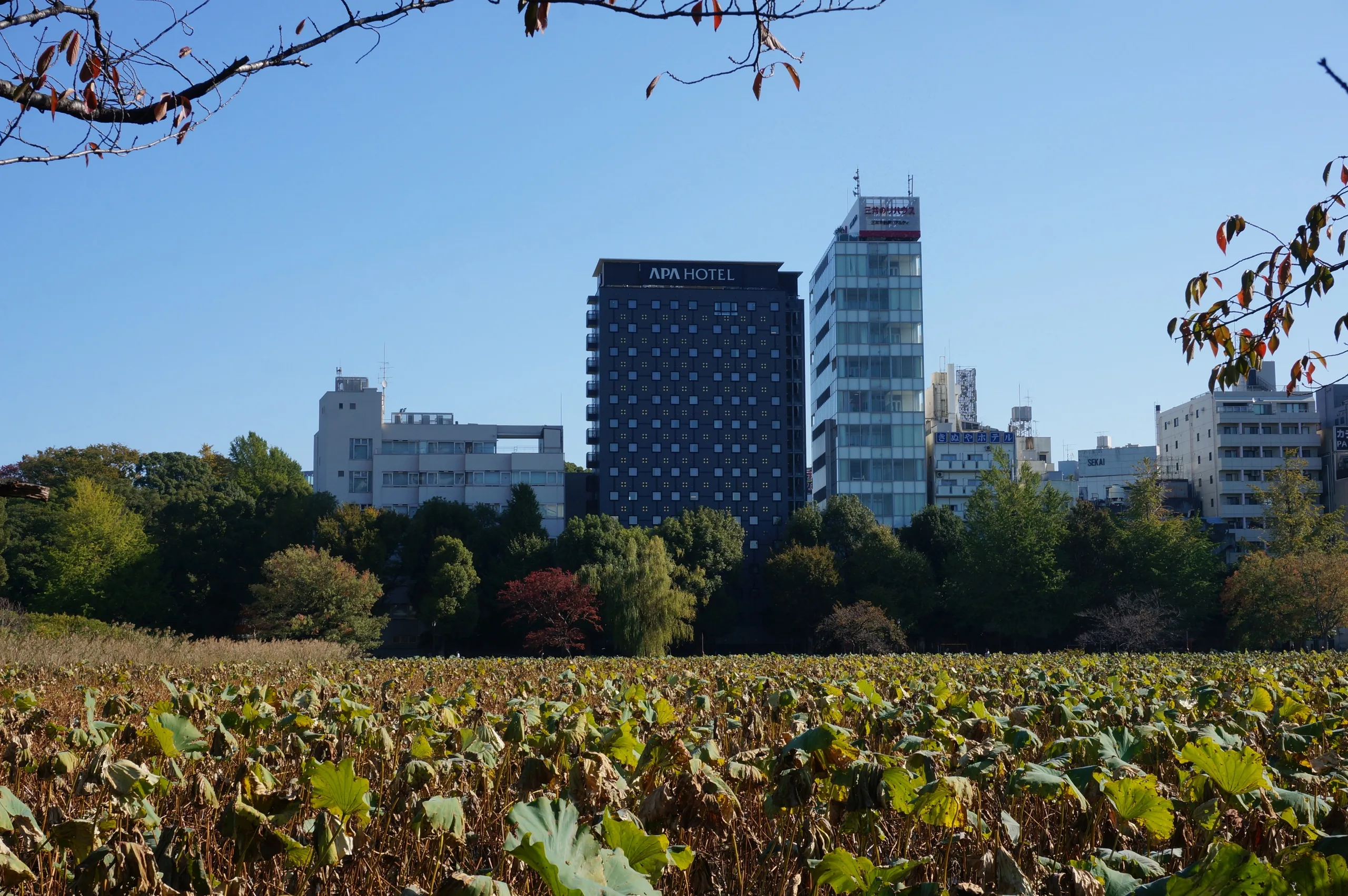 Japan, Tokyo, 2019