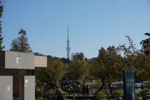Japan, Tokyo, 2019