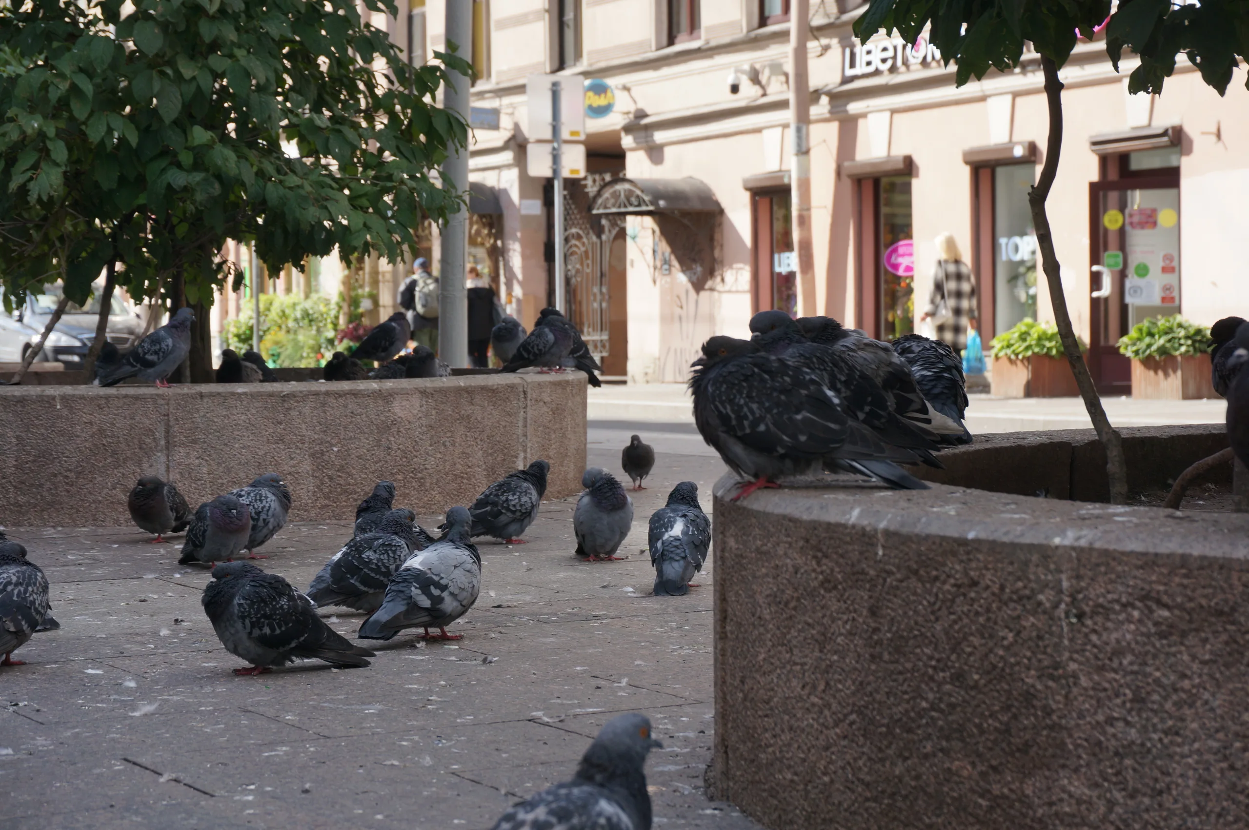 Russia, Saint Petersburg, 2022