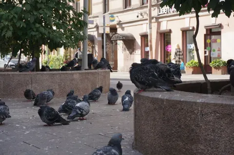 Russia, Saint Petersburg, 2022