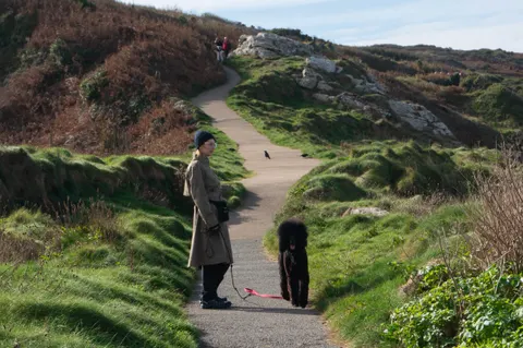 United Kingdom, Cornwall, 2025