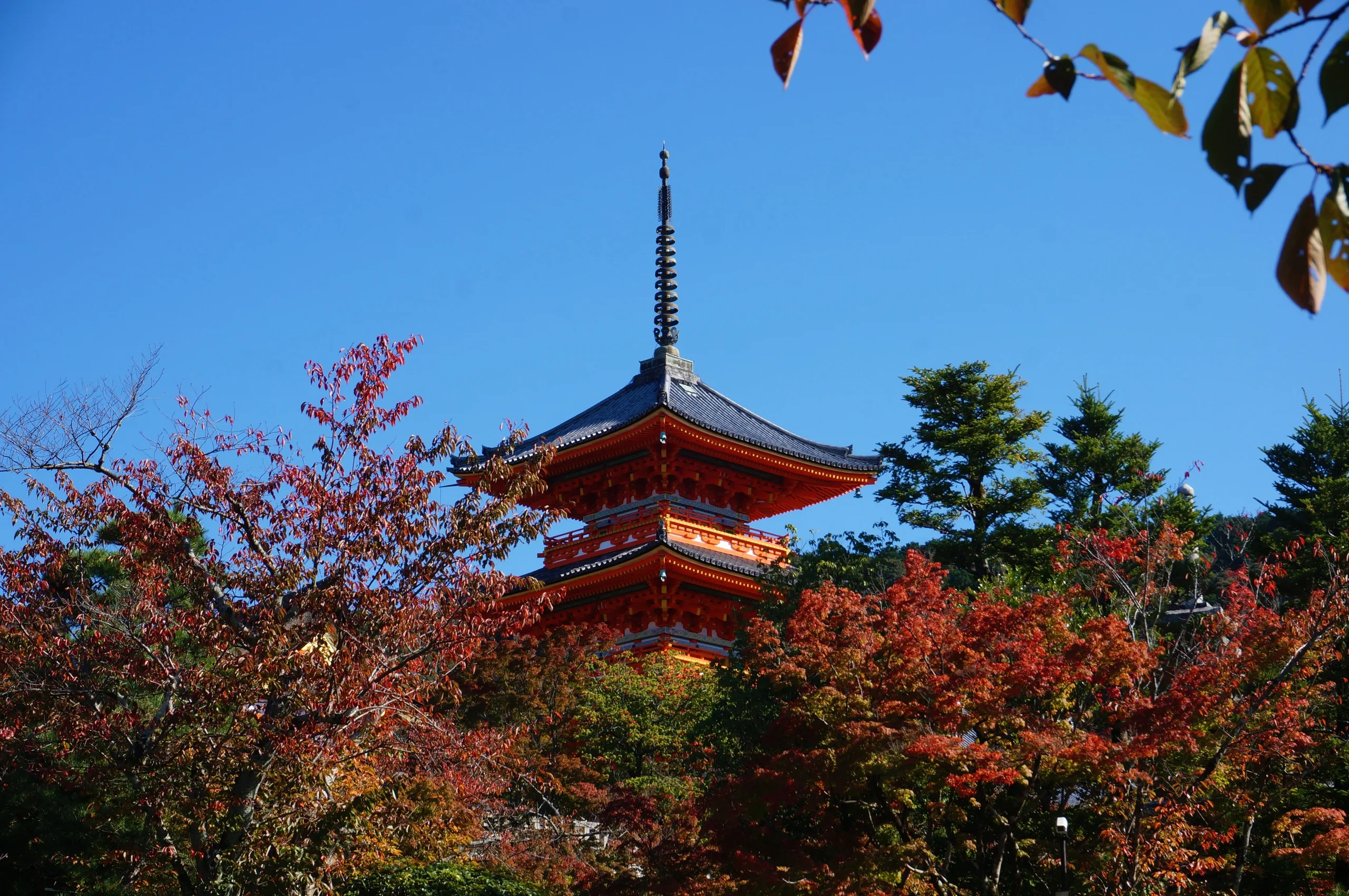Japan, Kyoto, 2019