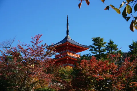 Japan, Kyoto, 2019