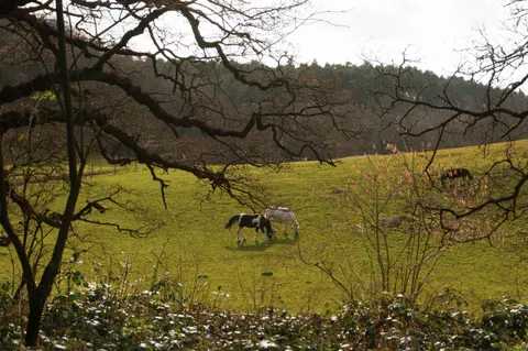 United Kingdom, Guildford, 2025