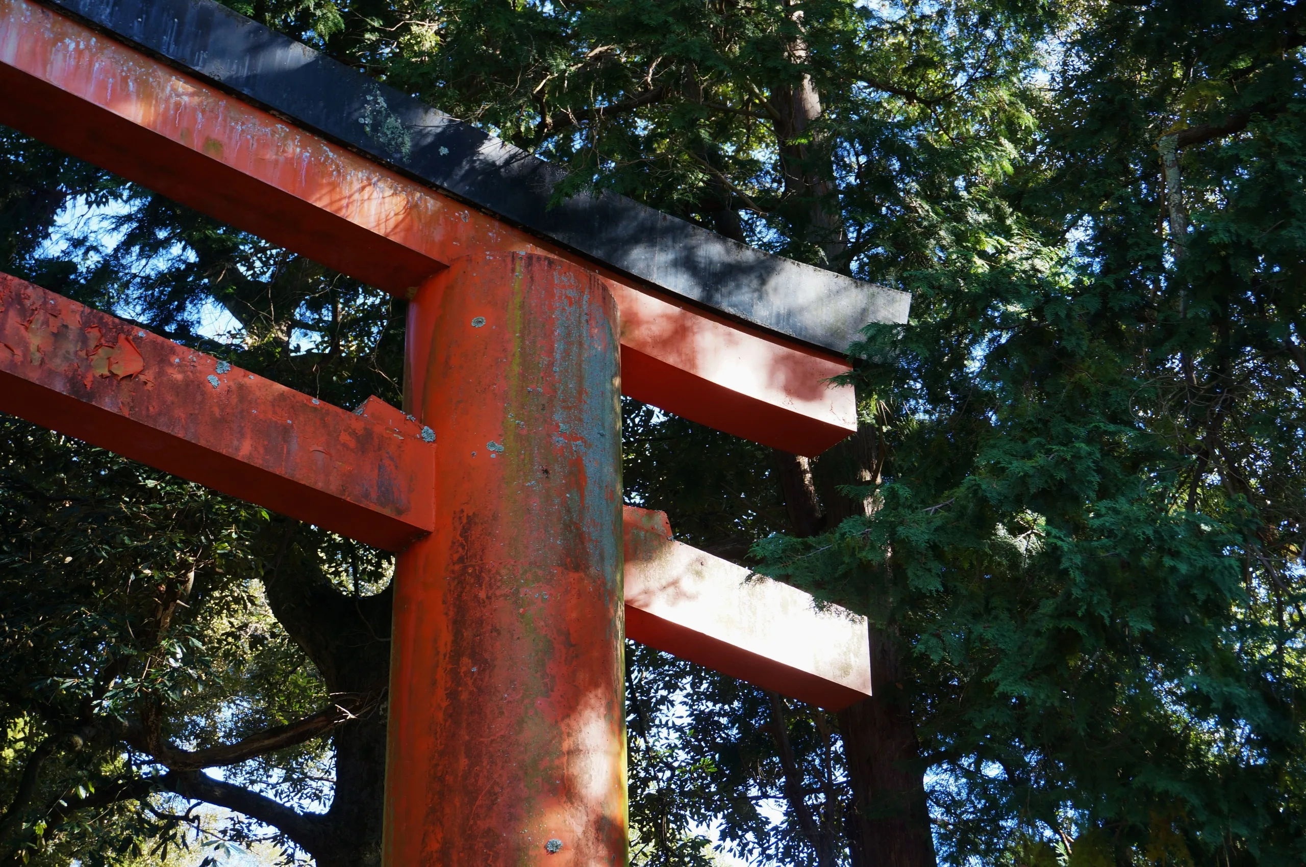 Japan, Nara, 2019