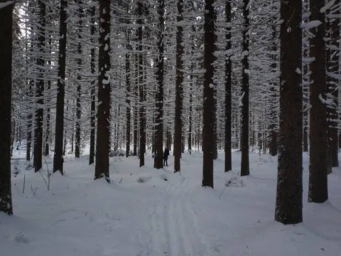 Russia, Komarovo, 2021