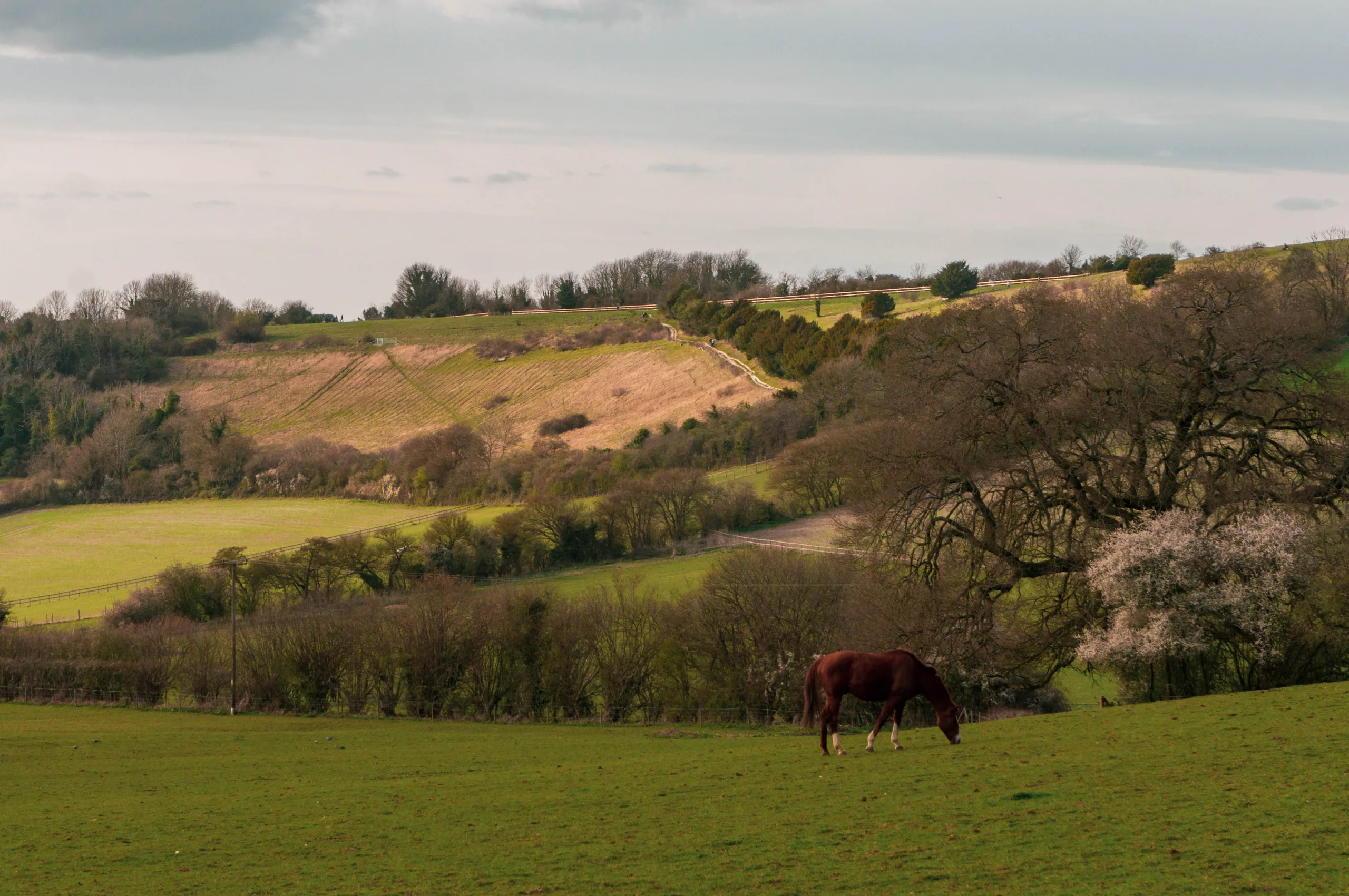 United Kingdom, Guildford, 2025