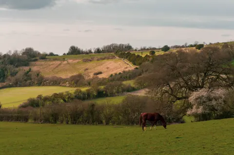 United Kingdom, Guildford, 2025